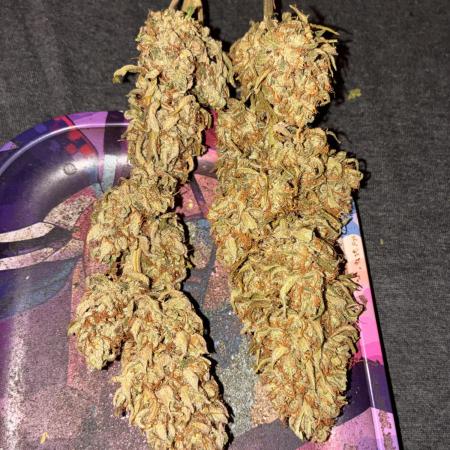 Second grow