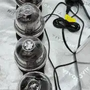 Wyrm Whiskers F1 (regular seeds)