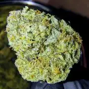 The Sticky (SSKush)