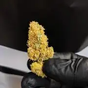 ABC - Blueberry Bastard