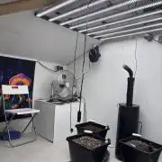 Autoflowers/42.fastbuds/Autopot/Athena