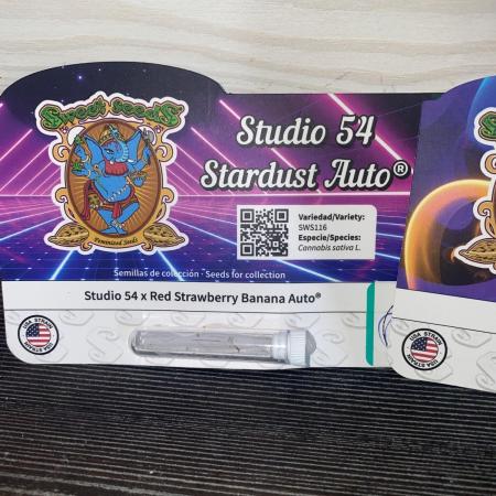 Studio but auto