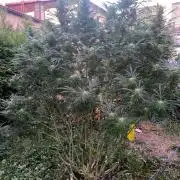 Perma Outdoor
