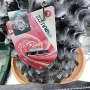 Runtz f1 in a cube