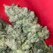 La Kush Cake