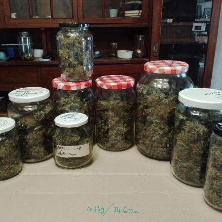 100l/26gal RQS Biscotti Experiment