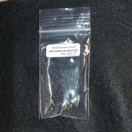 Watermelon Zkittlez - Freebie Seed