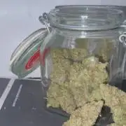 Skunk XL + Special Kush