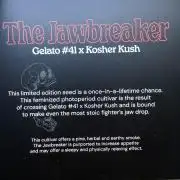 Jawbreaker die zweite