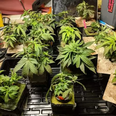 Finally built a room, life is different.