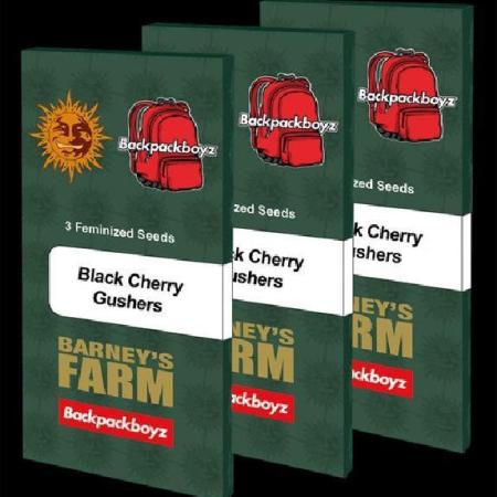 Black cherry Gushers - Jan - 26