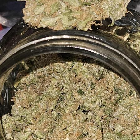 10 strains in a 2x4
