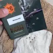 Mimosa Evo-Barneys