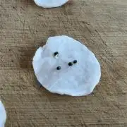 První kolo, snad bude aspoň na brk