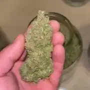DP second grow