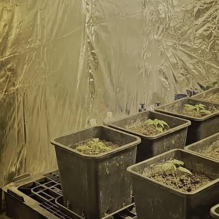 My first fight 🍊"TANGIE auto"🍋