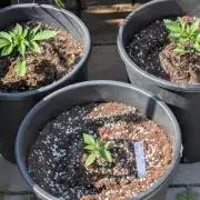 CBDečko Outdoor💚🌱