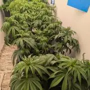 Moje po druheee😁🌱