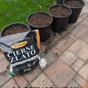 FÉNIXOV ŠEPOT🐦‍🔥🌱