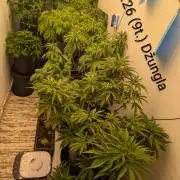 Moje po druheee😁🌱