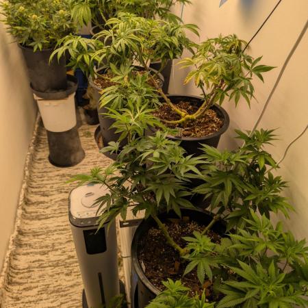 Moje po druheee😁🌱