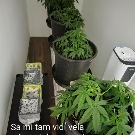 FÉNIXOV ŠEPOT🐦‍🔥🌱