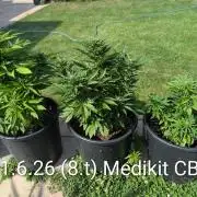 CBDečko Outdoor💚🌱