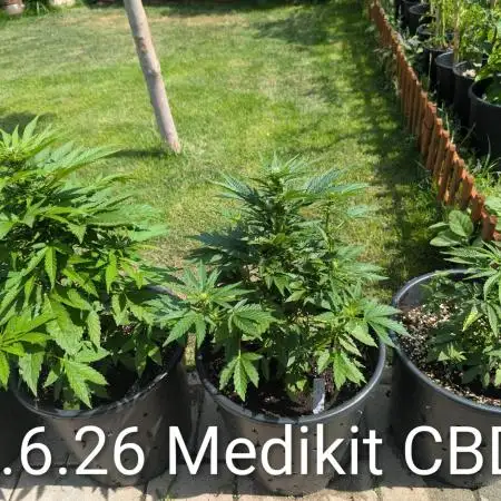 CBDečko Outdoor💚🌱
