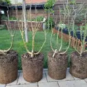 Moje po druheee😁🌱