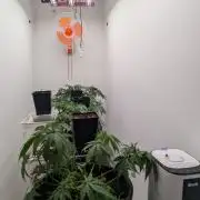 FÉNIXOV ŠEPOT🐦‍🔥🌱