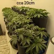 Moje po druheee😁🌱