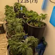 Moje po druheee😁🌱