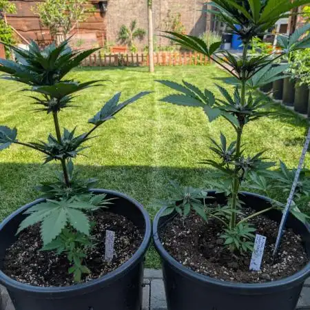Outdoor 🚗🌞🌱🌱