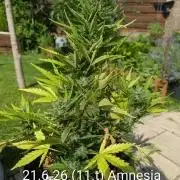 Outdoor 🚗🌞🌱🌱