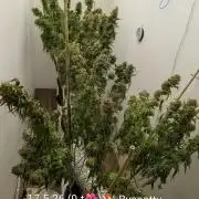Moje po druheee😁🌱