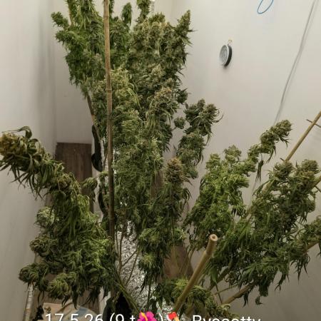 Moje po druheee😁🌱