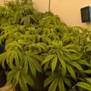 Moje po druheee😁🌱