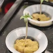 Hydro Experimente