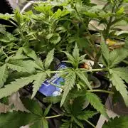 Hydro Experimente