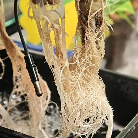 Hydro Experimente