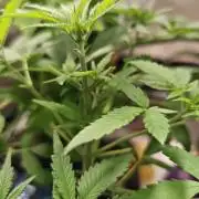 Hydro Experimente