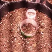 Dark saber by growlahoma