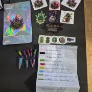 Twisted Genetics