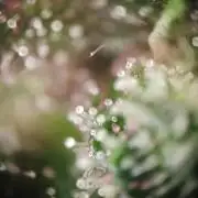 1st grow - GreenBox-