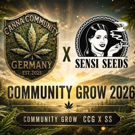 Sensi Seeds / CCG Grow Event