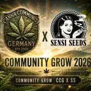 Sensi Seeds / CCG Grow Event