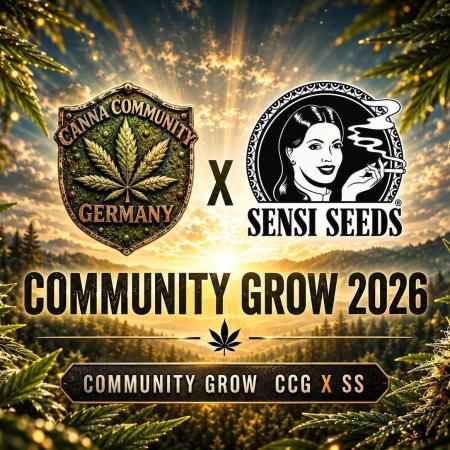 Sensi Seeds / CCG Grow Event