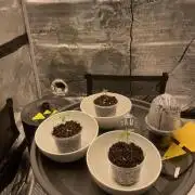 Blue Zushi x Forbidden Fruit Mixed