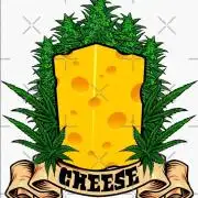 Cheese 🧀