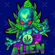 Alien OG